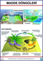MADDE DÖNGÜLERİ LEV.(KARBON, AZOT VE SU DÖNGÜLERİ-70X100 CM) - 1