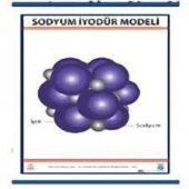 SODYUM İYODÜR (NAL) MODELİ LEVHASI (70X100 CM) - 1