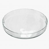 PETRİ KABI (Ø 100 mm. Cam) thumbnail 1