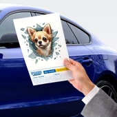 Fulcar Chiuahua Araç Stickerı - 2