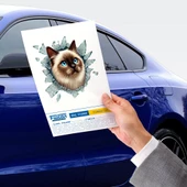 Fulcar Siamesse Araç Stickerı - 2