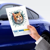 Fulcar Sarman Araç Stickerı - 2