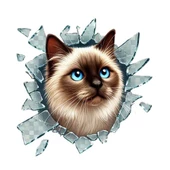 Fulcar Siamesse Araç Stickerı - 3