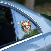 Fulcar Chiuahua Araç Stickerı - 1