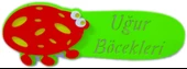 SINIF İSİMLİĞİ UĞUR BÖCEKLERİ - 1