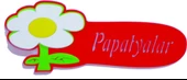 SINIF İSİMLİĞİ PAPATYALAR - 1