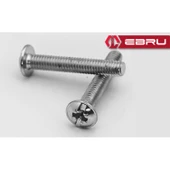 Ebru Yuvarlak Yıldız Başlı RYSB Kulp Vidası, Civata M4x10 - 500 Adet - 1