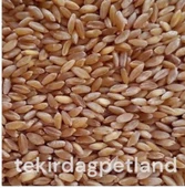Tavuk ve Güvercinler için elenmiş yemlik buğday 1 kg - 2