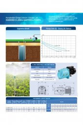 Jet D-jswm-10h 1 Hp Santrifüj Pompa thumbnail 3