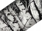 D-c-fix 446-0611 Kavak Ağaç Desen Yapışkanlı Folyo (45cm x 2mt) thumbnail 5