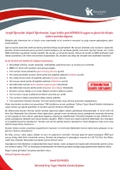 2025 8.Sınıf Full LGS Altın Seri TÜRKÇE MEB Çıkmış Soru Bankası Modüler Seti PDF/Video Çözümlü - 3
