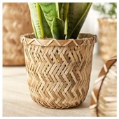 SUMUHOME KLYNNON DEKORATİF İÇ ORTAM BAMBU SAKSI 12 CM - 4