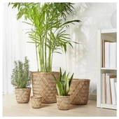 SUMUHOME KLYNNON DEKORATİF İÇ ORTAM BAMBU SAKSI 15 CM - 5