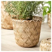 SUMUHOME KLYNNON DEKORATİF İÇ ORTAM BAMBU SAKSI 15 CM - 3