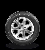 195/75R16C 107/105R DAYTON VAN WINTER - 2
