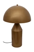 Mantar Abajur Eskitme - 2