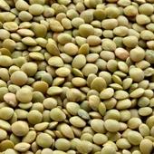 İksirli Çiftlik Yerli Mercimek 500 g - 1