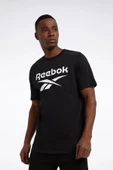 REEBOK RI BIG LOGO TEE ERKEK TSHIRT - 3