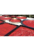 Nazilli Acı Biber Salçası 1 Kg. Yerli Üretim - 5