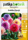 30 Adet Dahlia (Yıldız) Çiçek Tohumu - 2