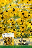 Afrika Papatyası (rudbeckia) Çiçek Tohumu 100 Adet thumbnail 1