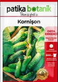 100 Adet Kornişon Salatalık Tohumu( Turşuluk) thumbnail 2