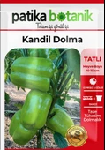 200 Adet Kandil Dolma Biber Tohumu thumbnail 2