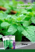 100 Adet Nane (Mentha) Çiçek Tohumu thumbnail 1