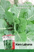 1000 Adet Kara (Yaprak) Lahana Tohumu thumbnail 1