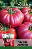 250 Adet Köy Tipi Domates Tohumu thumbnail 1