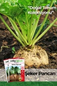 150 Adet Şeker Pancarı Tohumu thumbnail 1
