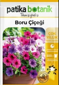 100 Adet Boru (Petunya) (Petunia) Çiçek Tohumu thumbnail 2