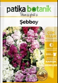 100 Adet Şebboy (Mathiola İncana) Çiçek Tohumu - 2