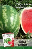 100 Adet Alaca Karpuz Tohumu thumbnail 1