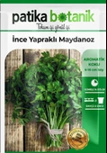 Ince Yaprak Maydanoz Tohumu thumbnail 2