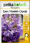 100 Adet Çan Kadeh (Campanula L.) Çiçek Tohumu - 2