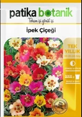 100 Adet İpek - Şellaki (Portulaca Grandiflora) Çiçek Tohumu - 2