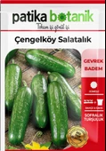 150 Adet Çengelköy Salatalık Tohumu GCL119 thumbnail 2