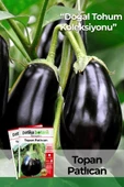 200 Adet Topan Patlıcan Tohumu thumbnail 1