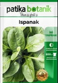 250 Adet Yerli Ispanak Tohumu (GENİŞ YAPRAK) thumbnail 2