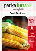 50 Adet Tatlı Mısır Tohumu thumbnail 2