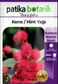 5 Adet Kene Çiçeği (ricinus Communis) Çiçek Tohumu - 2