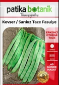 50 Adet Kevser (Sarı Kız) Fasulye Tohumu thumbnail 2