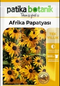Afrika Papatyası (rudbeckia) Çiçek Tohumu 100 Adet thumbnail 2