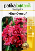 100 Adet Hüsnüyusuf (Dianthus Barbatus L.) Çiçek Tohumu - 2