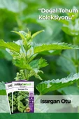 100 Adet Isırgan (Urtica Dioica) Tohumu - 1