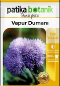 100 Adet Vapur Dumanı (Ageratum Houstanianum) Çiçek Tohumu - 2