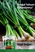 500 Adet Yeşil Soğan Tohumu thumbnail 1