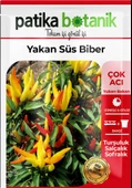 150 Adet Yerli Ata Sarı Süs Biber Tohumu - 2