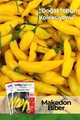 200 Adet Makedon Biber Tohumu (Sarı, Turşuluk) thumbnail 1